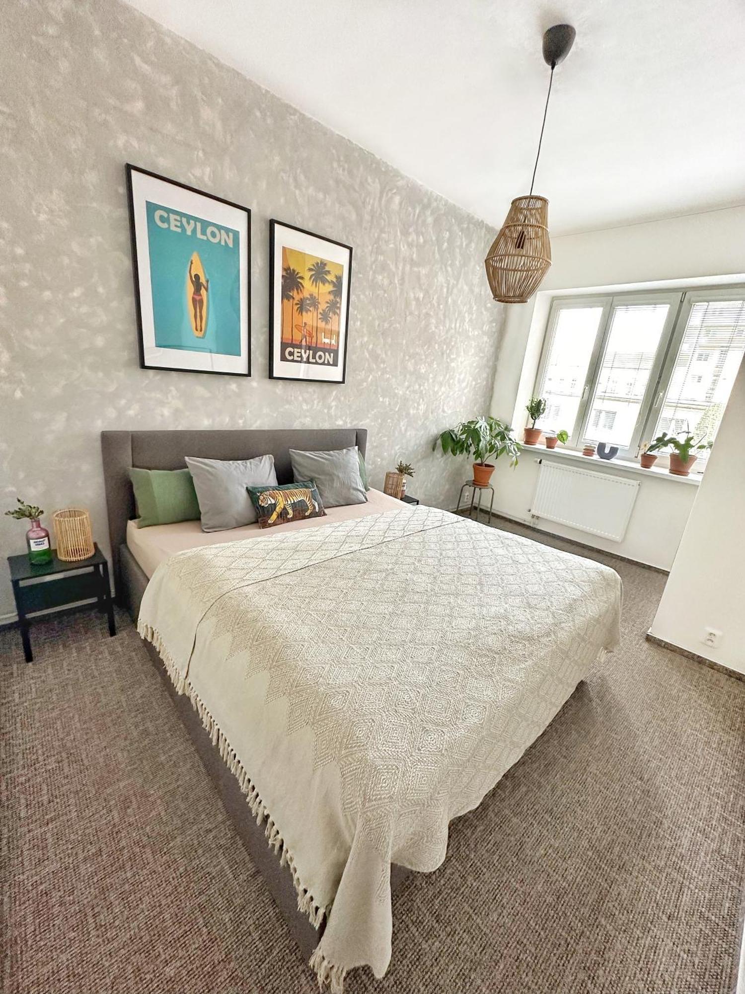 ברנו Bright And Central Suite With A Balcony מראה חיצוני תמונה