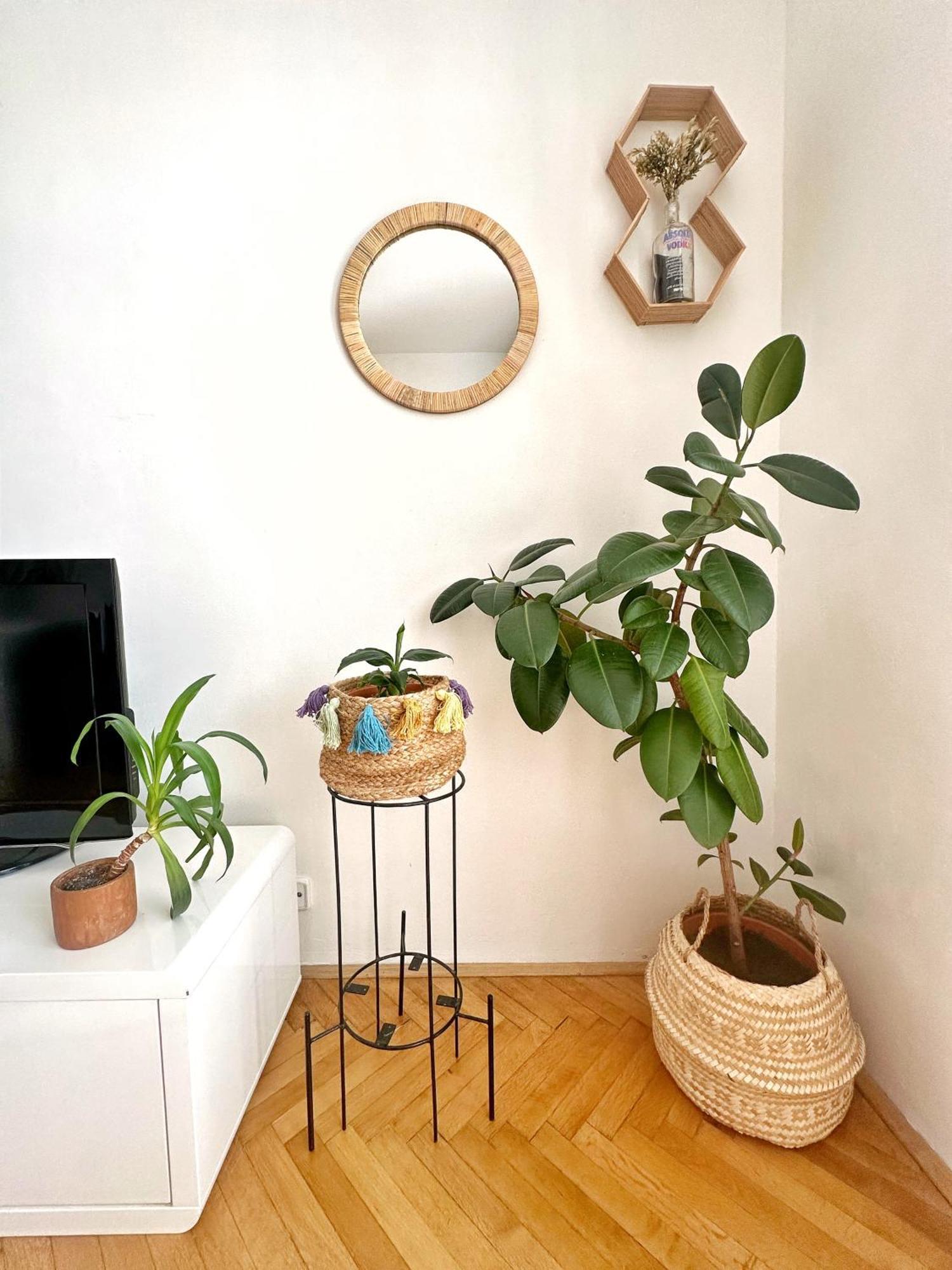 ברנו Bright And Central Suite With A Balcony מראה חיצוני תמונה